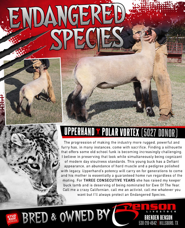 Endangered Species - Championdrive.com