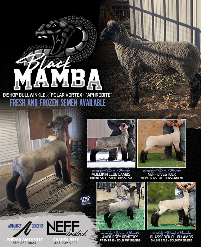 太郎　sub d2.0 black sheep 76 BCD Chainrings for SRAM XX1 and Specialized Stout – Wolf