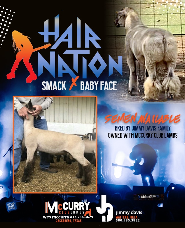 Hair Nation