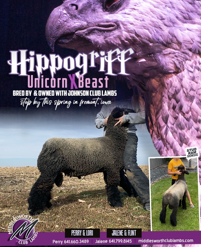 Hippogriff - Championdrive.com