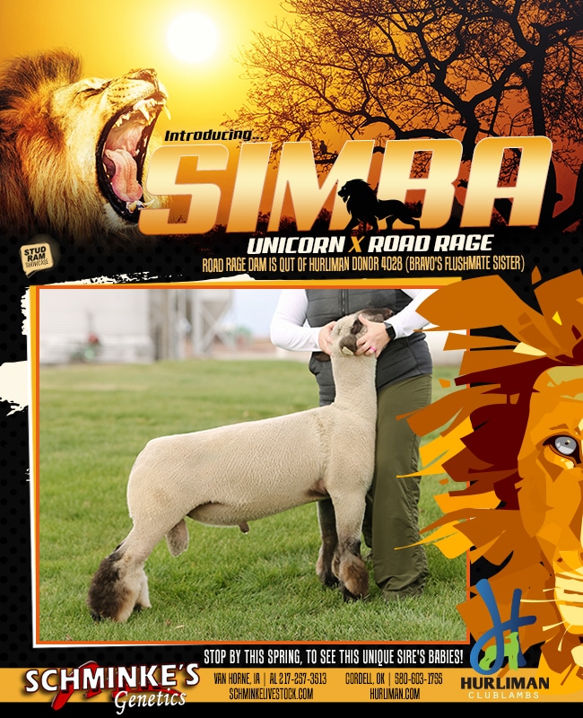 Simba - Championdrive.com