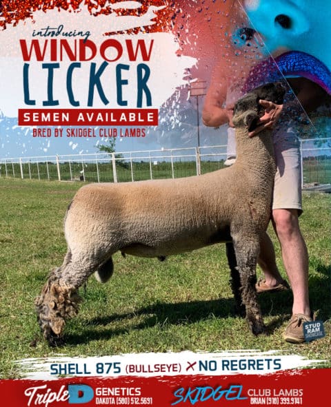 Window Lickerr Window Licker - Championdrive.com