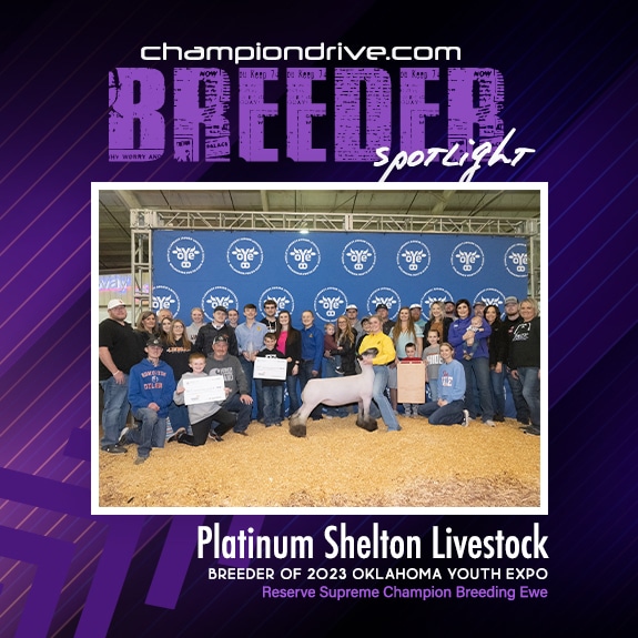 Platinum Shelton Livestock
