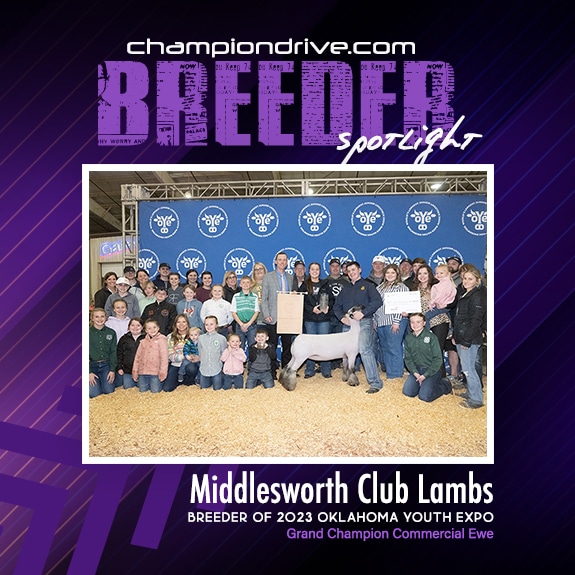 Middlesworth Club Lambs