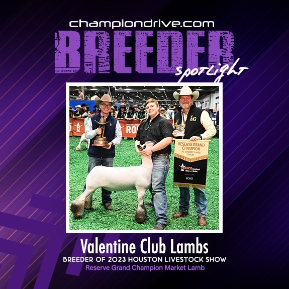 Valentine Club Lambs