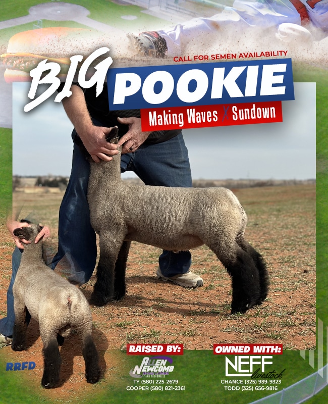 Big Pookie