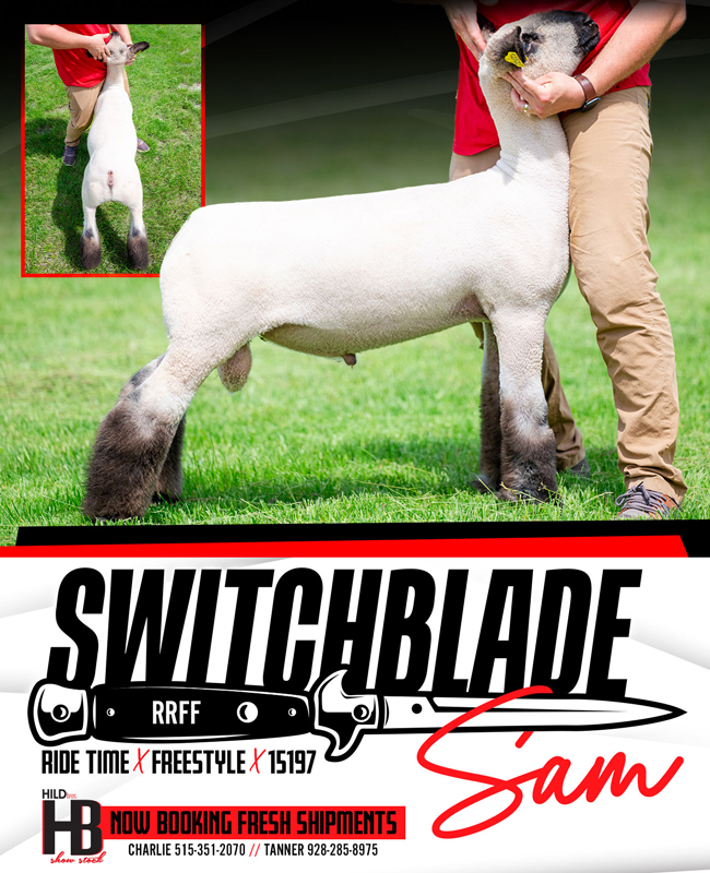 Switchblade Sam