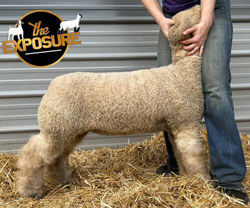 Lot-154-Spring-Valley-Pro