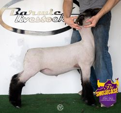 Lot-52-Barwick