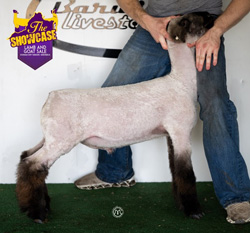 Lot-53-Barwick