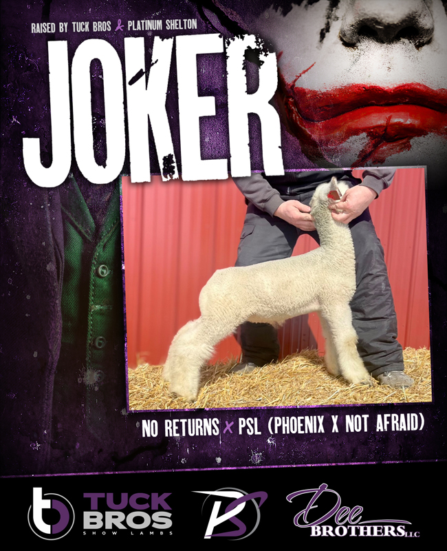 Joker Big City