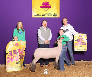 dooley-ewe-enid