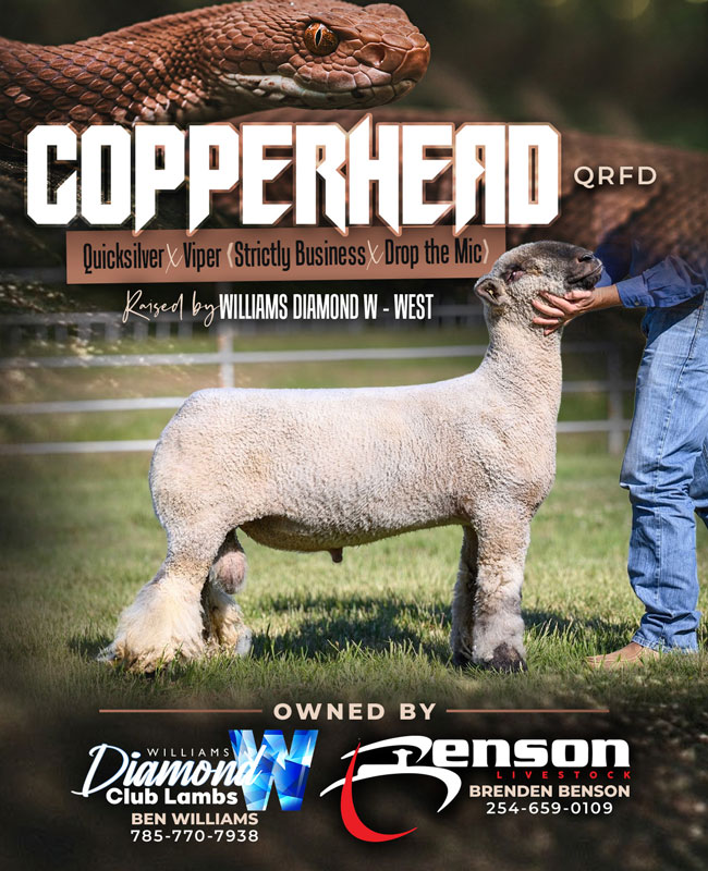 Copperhead