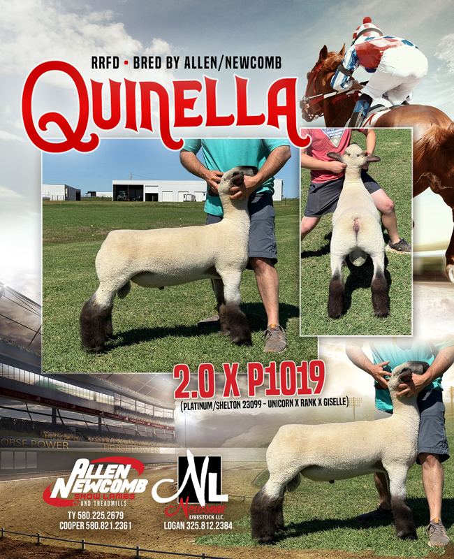 Quinella Big City