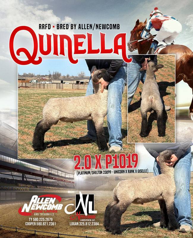 Quinella