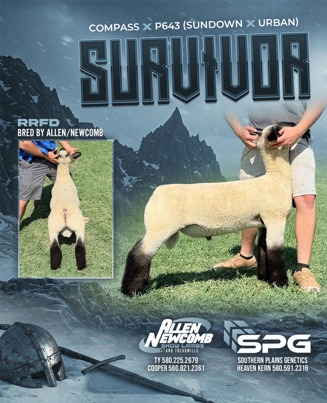 Survivor Big City