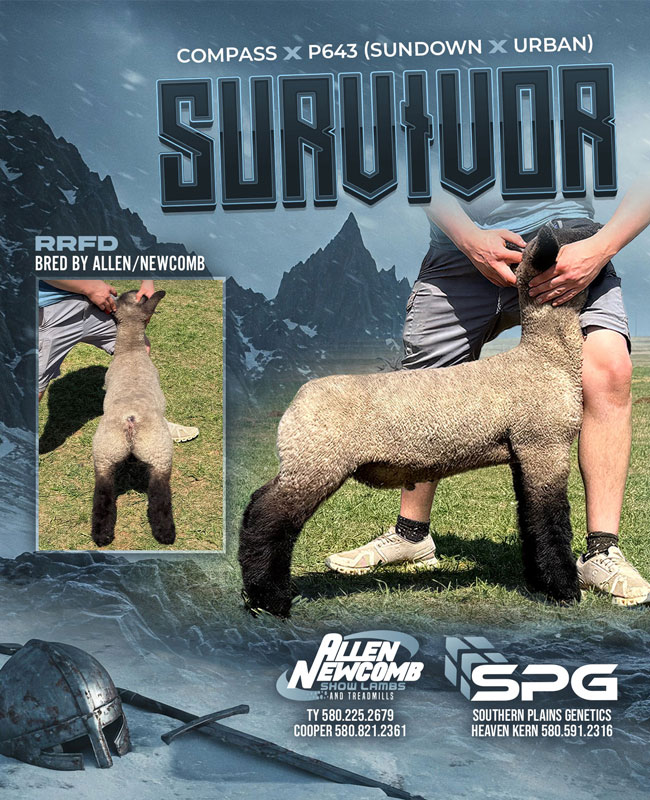 Survivor
