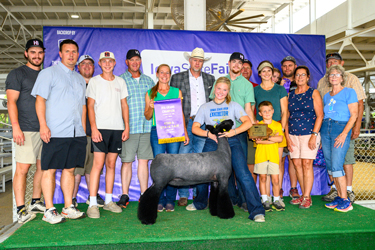 hild-ia-ffa-ewe