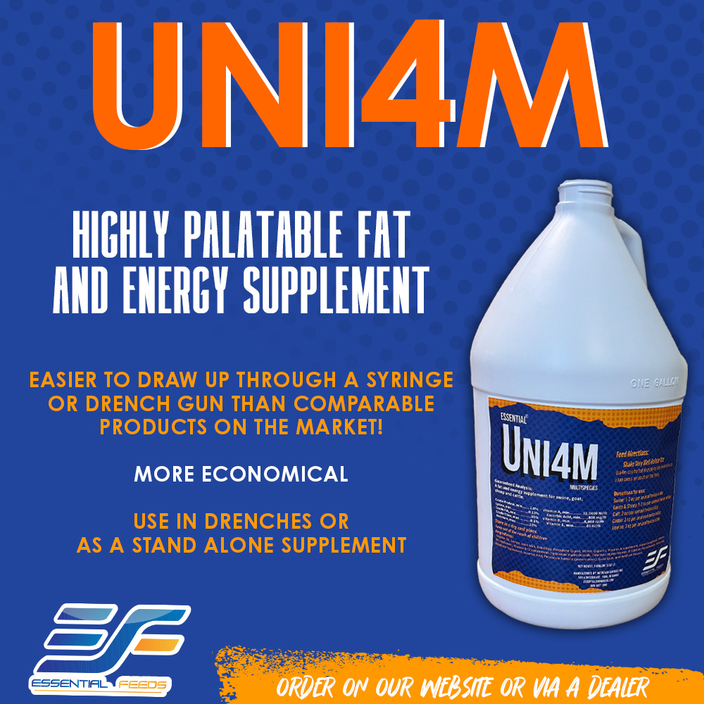 Uni4m