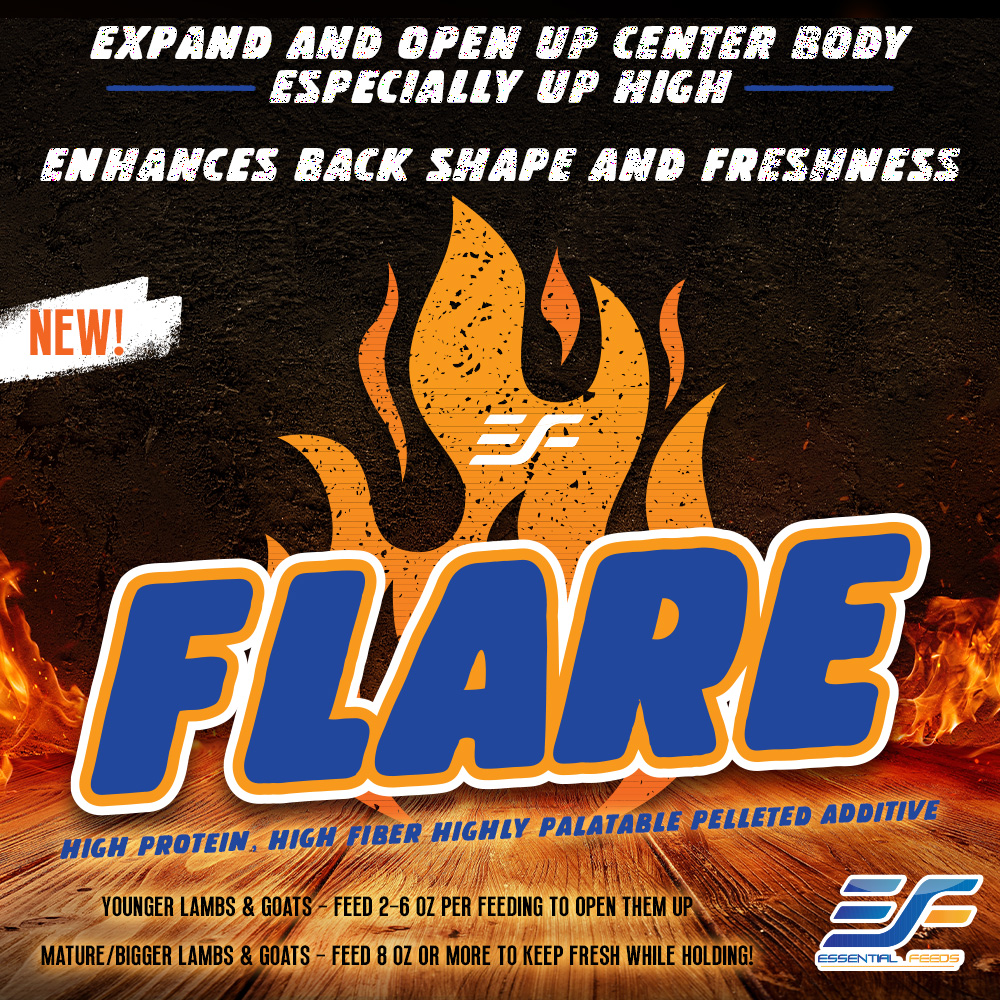 Flare Big City