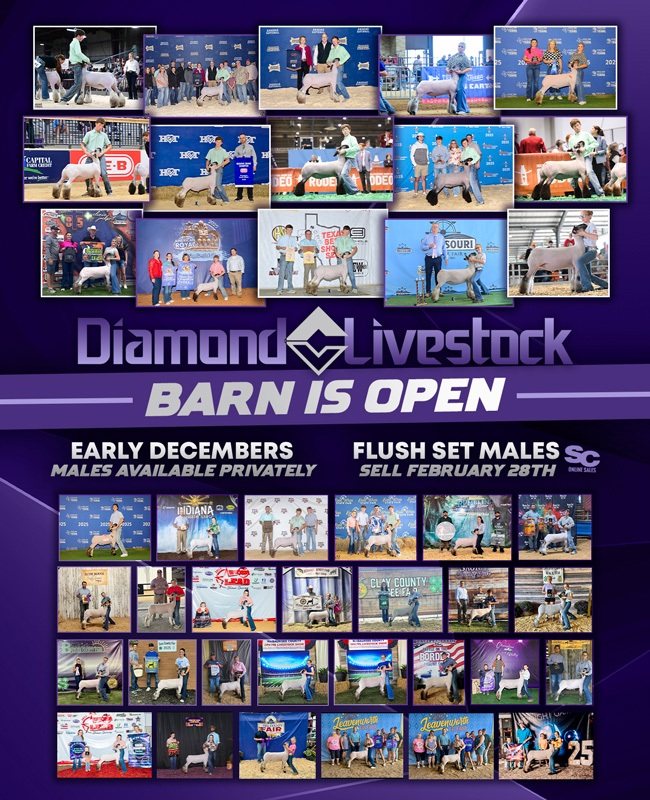 Diamond-C_Winner-HPA