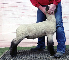 corner view LOT 14 2200