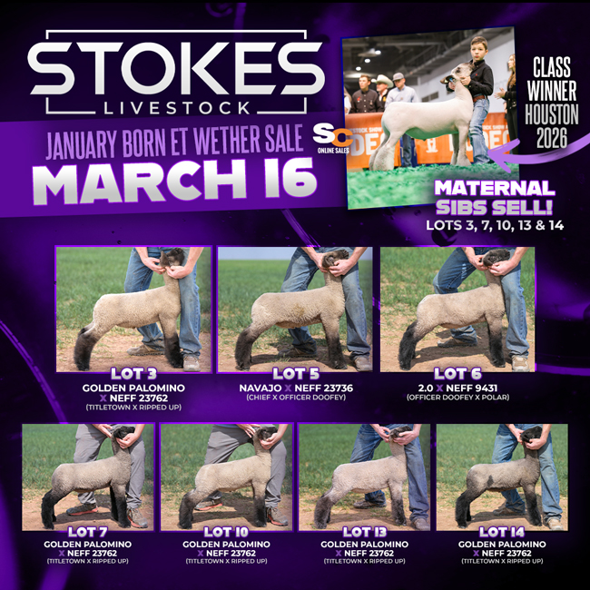 Stokes-March16