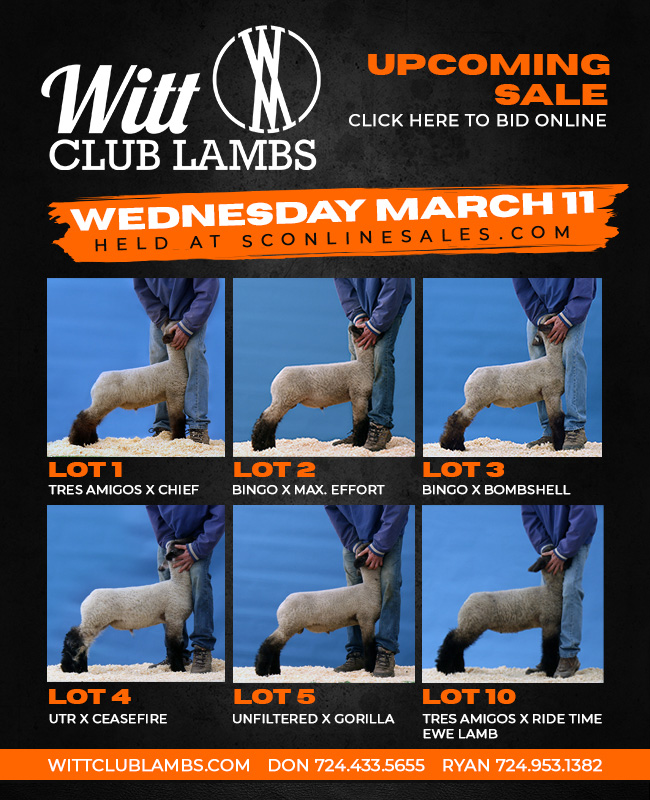 Witt-March11