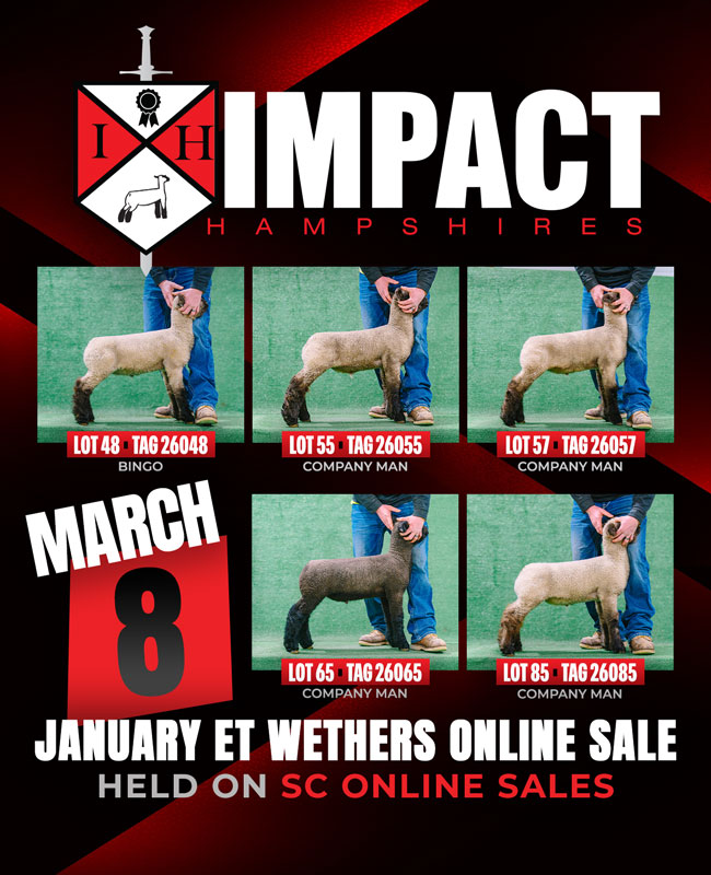 impact_march8