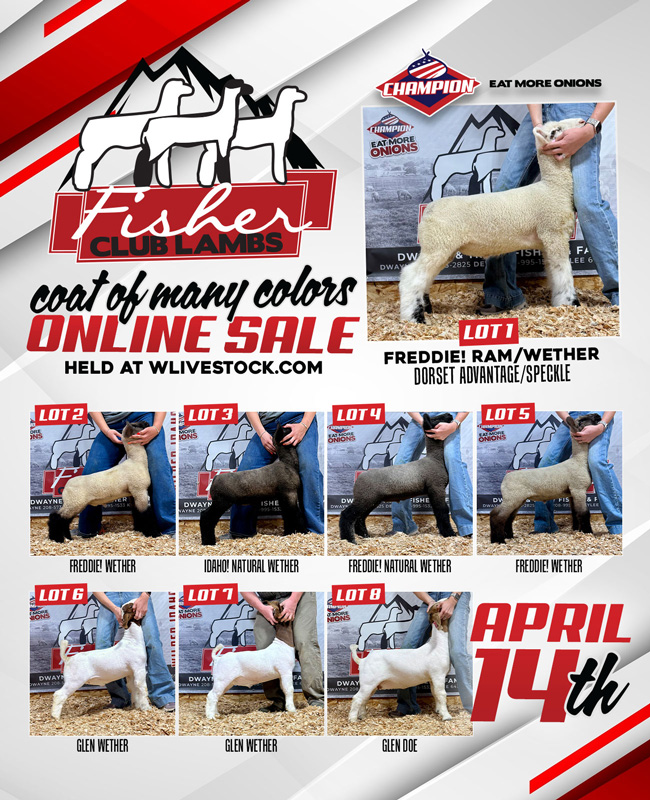 Fisher_HPA-April14-2026