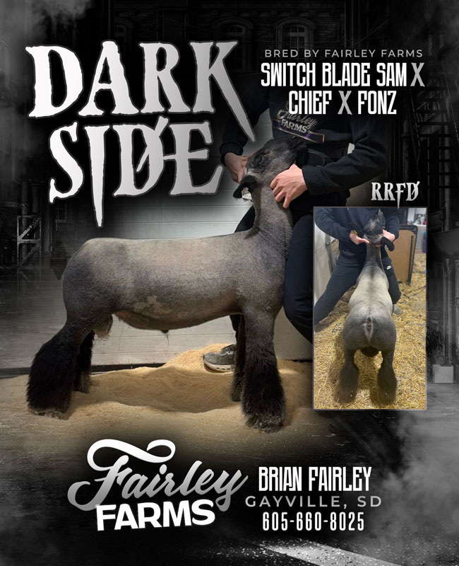 Dark Side