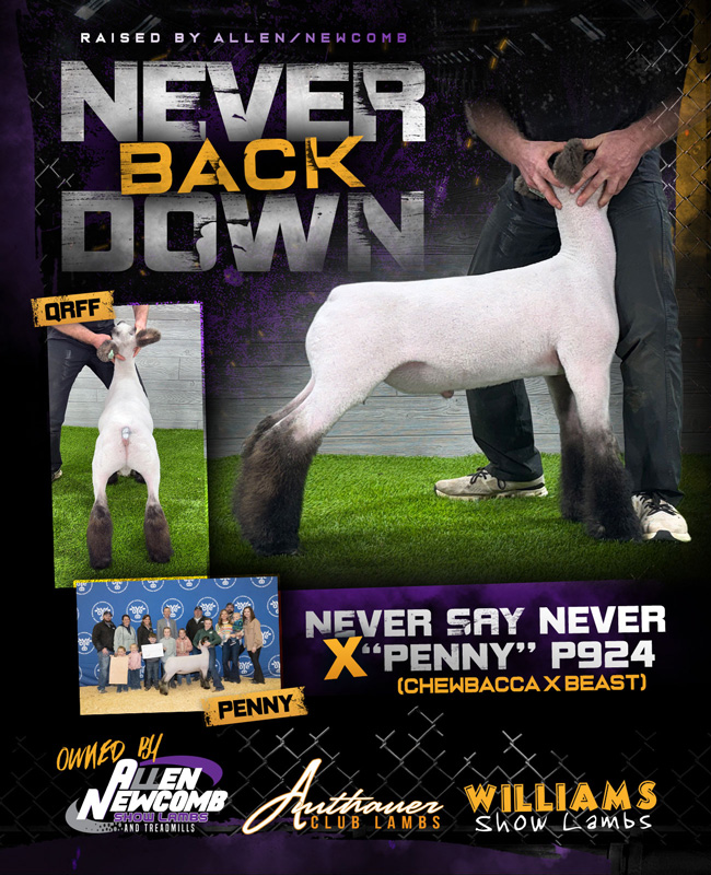 Never Back Down