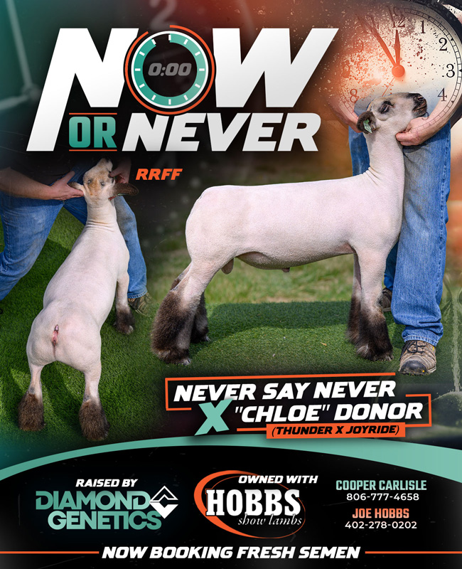 Now Or Never