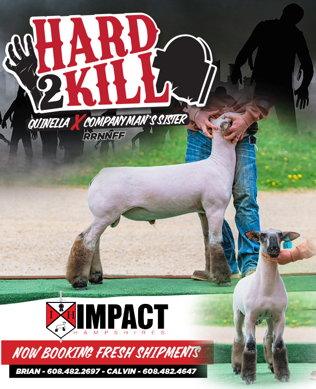 Hard 2 Kill