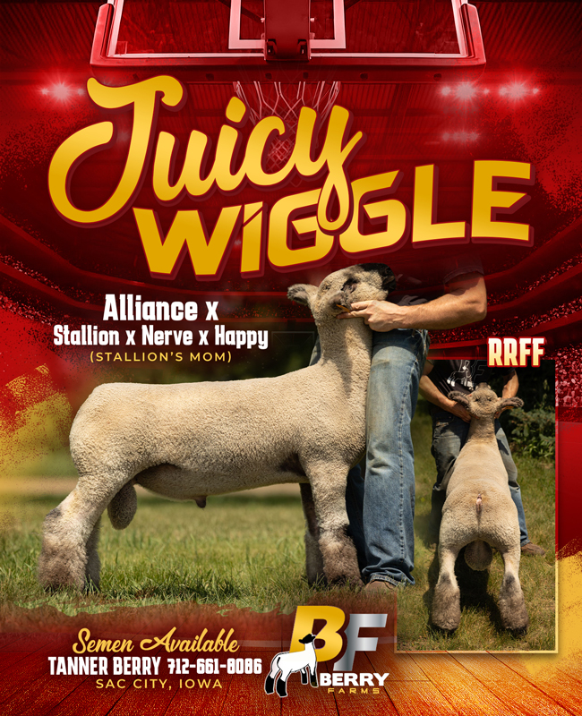 Juicy Wiggle