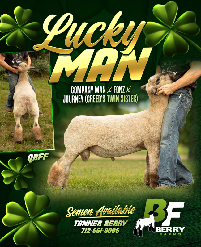 Lucky Man