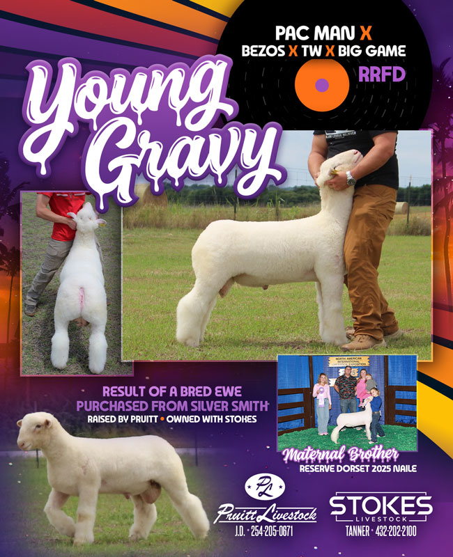 Young Gravy