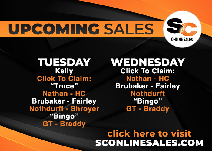 sco-july7