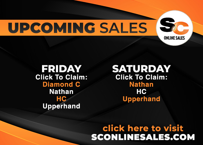 sco-august7