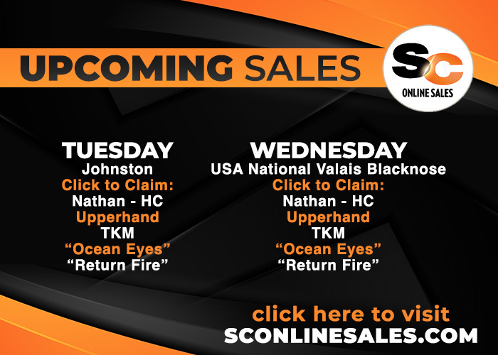 sco-sept29