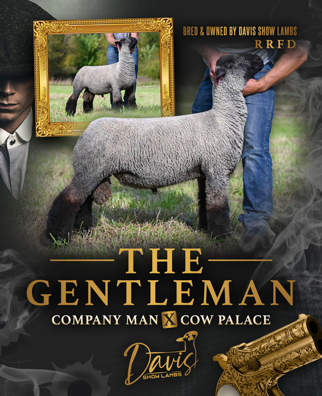 The Gentleman
