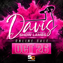 Davis Show Lambs Onlinen Sale