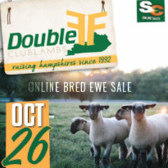 Double F Bred Ewe Sale