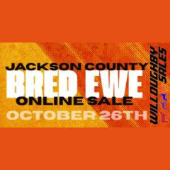 Jackson Co. Bred Ewe Sale