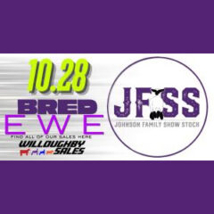 Johnson Family Bred Ewe Sale