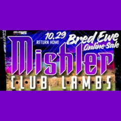 Mishler Club Lambs Bred Ewe Sale