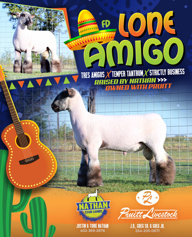 Image for the Tweet beginning: STUD RAM SHOWCASE: Lone Amigo